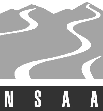 Logo NSAA